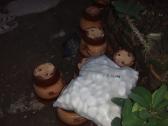 pasu dan batu pasu dan batu